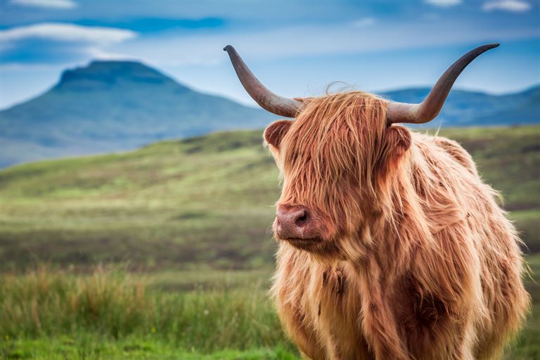 Mystisches Schottland ©Shaiith/istock